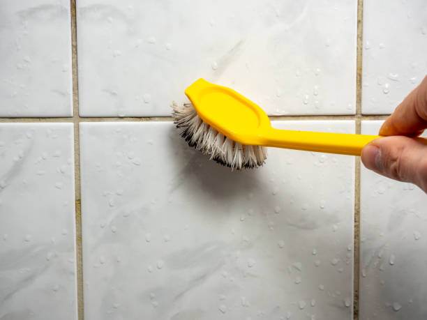 Best Preventive Mold Services in Marion, KS