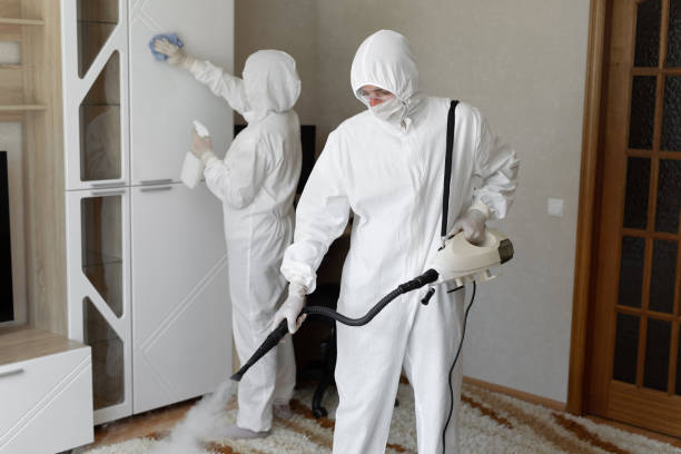 Best Bathroom Mold Remediation in Marion, KS