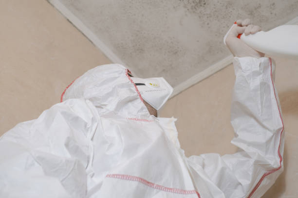Best Residential Mold Remediation in Marion, KS