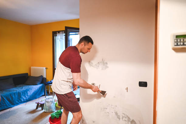 Best Black Mold Remediation in Marion, KS